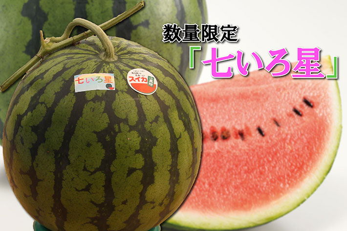【50玉限定】竹熊さんの大玉スイカ「七いろ星」