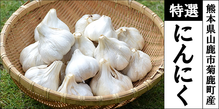 熊本県山鹿市菊鹿町産のにんにく(約1kg)