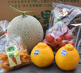 Bセット: 3,500円(税別)