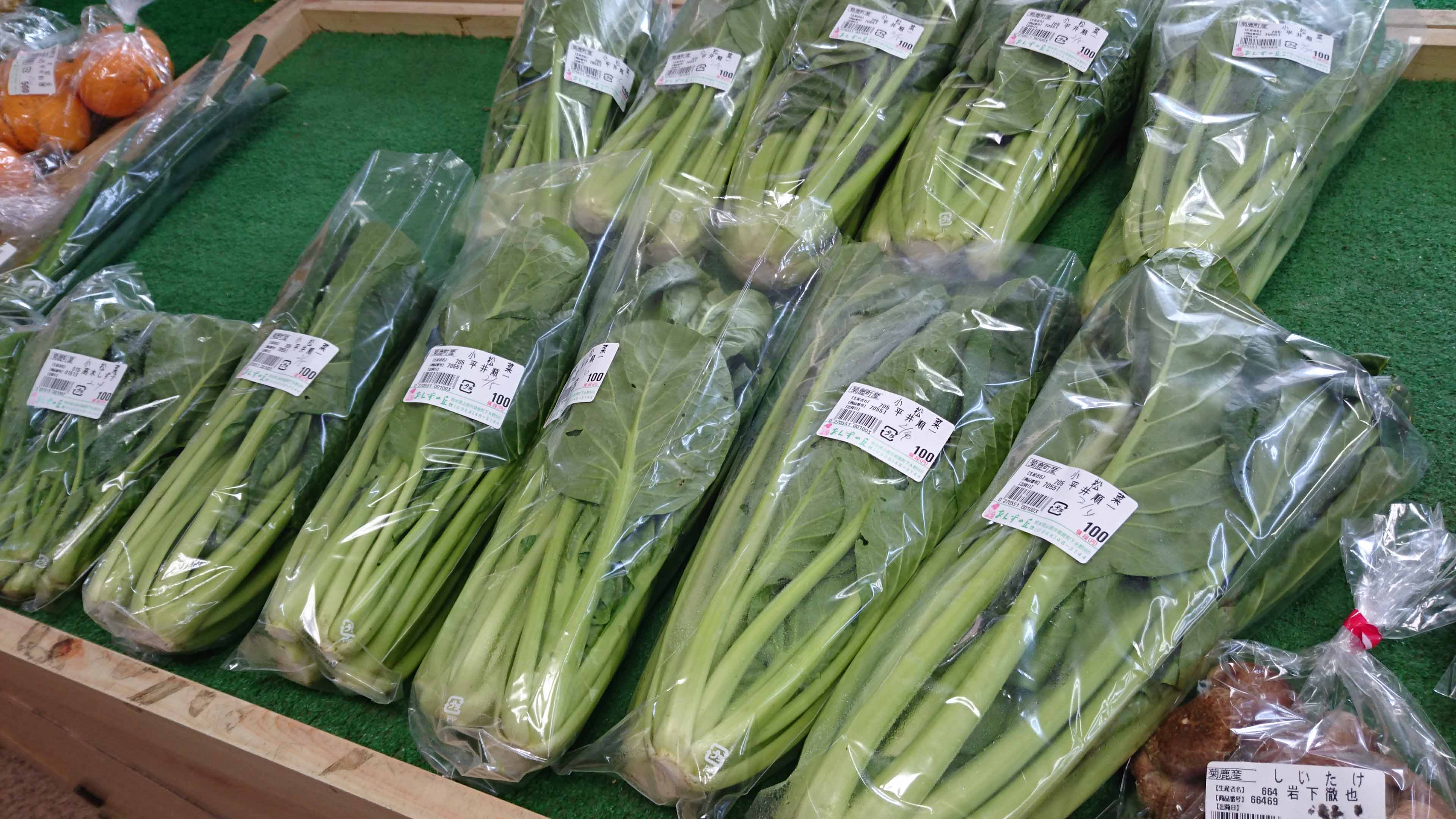 今山鹿で買うべき旬な野菜 フルーツ情報 平成28年2月版 食の王国山鹿 山鹿市物産館連絡協議会 今山鹿で買うべき旬な野菜 フルーツ情報 平成28年2月版 食の王国山鹿 山鹿市物産館連絡協議会