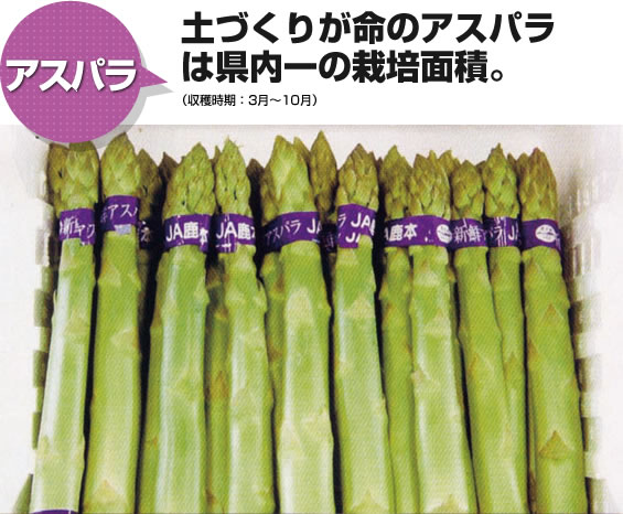 アスパラ 土づくりが命のアスパラは県内一の栽培面積