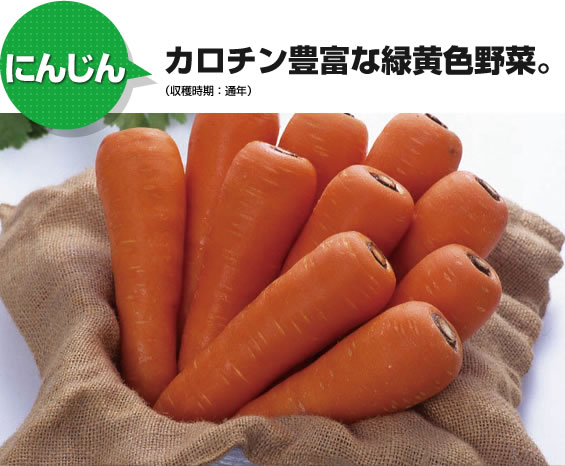 にんじん カロチン豊富な緑黄色野菜