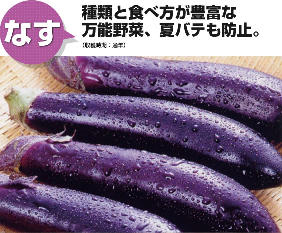 なす 種類と食べ方が豊富な万能野菜、夏バテも防止。