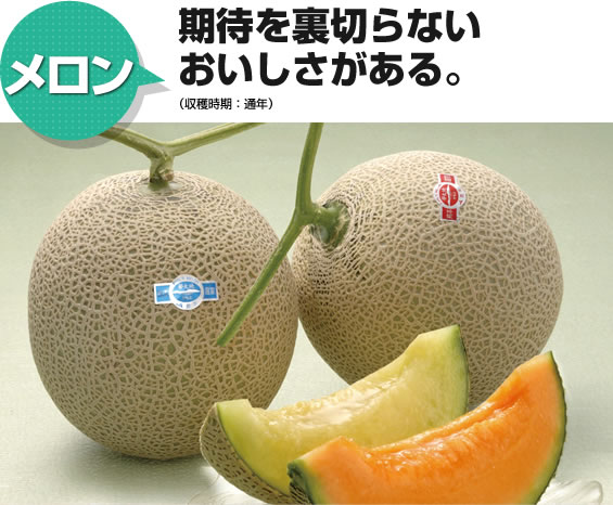 メロン 期待を裏切らないおいしさがある。