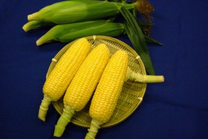 pikunikku-corn3