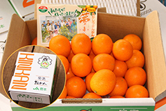 完熟ハウスきんかん「夢小町」　1kg　2,700円(税込)