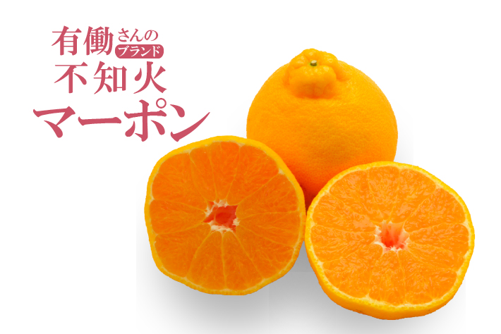 有働さんの不知火"マーポン"