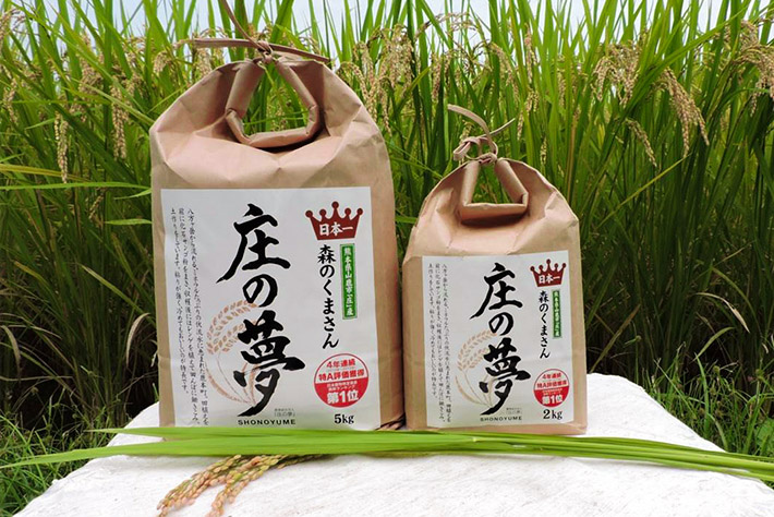 特別栽培米　庄の夢【一等米】【森のくまさん】