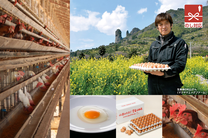 食の王国 山鹿 うまかもんショップ マツヤマエッグファーム 山鹿のたまご