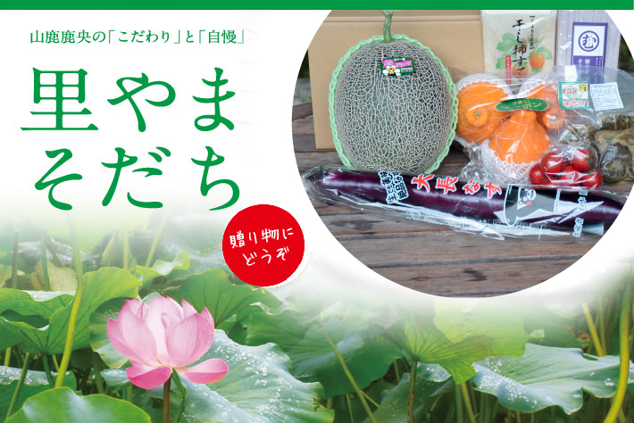鹿央町からの贈り物2018 「夏の里やまそだちセット」