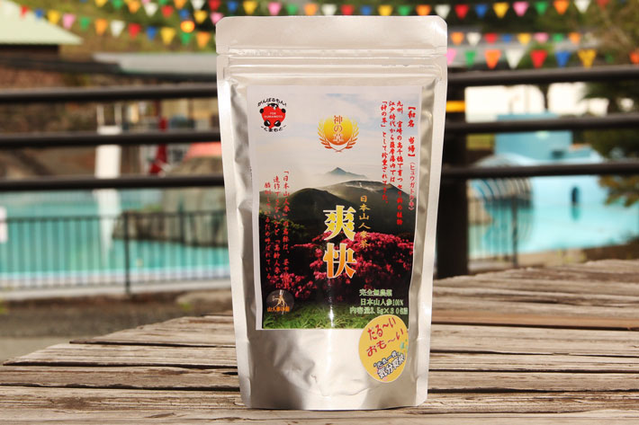 日本山人参 トウキ