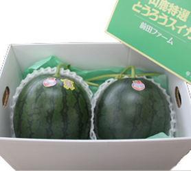 Bセット: 3,960円(税別)