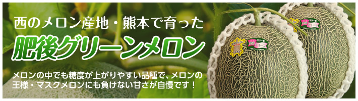 肥後グリーンメロンセット