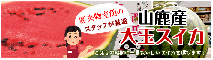 大玉スイカ